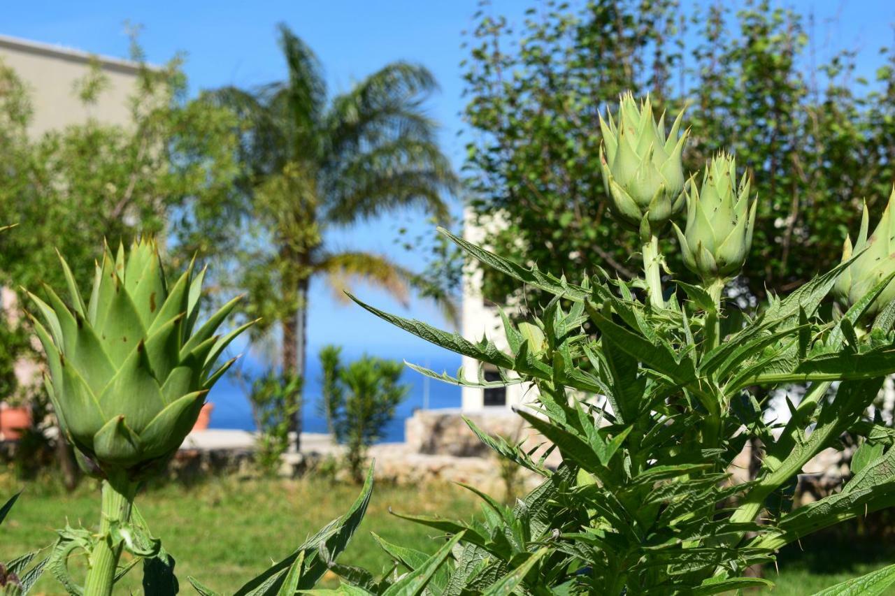 Anna'S Stone House Villa Megala Chorafia Exterior photo